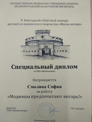 Специальный диплом