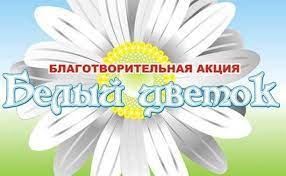 Белый цветок – символ добра и милосердия