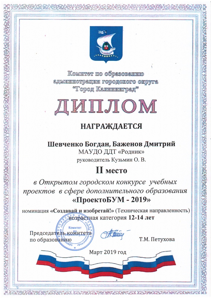 Диплом Баженова и Шевченко