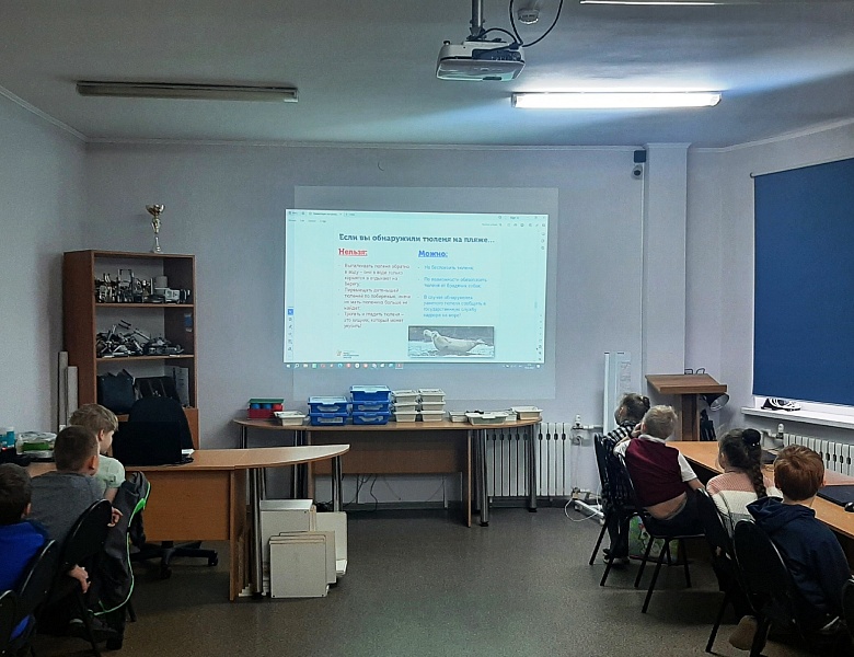 "ПРО Тюленей" узнали ребята МАУДО ДДТ "Родник" 