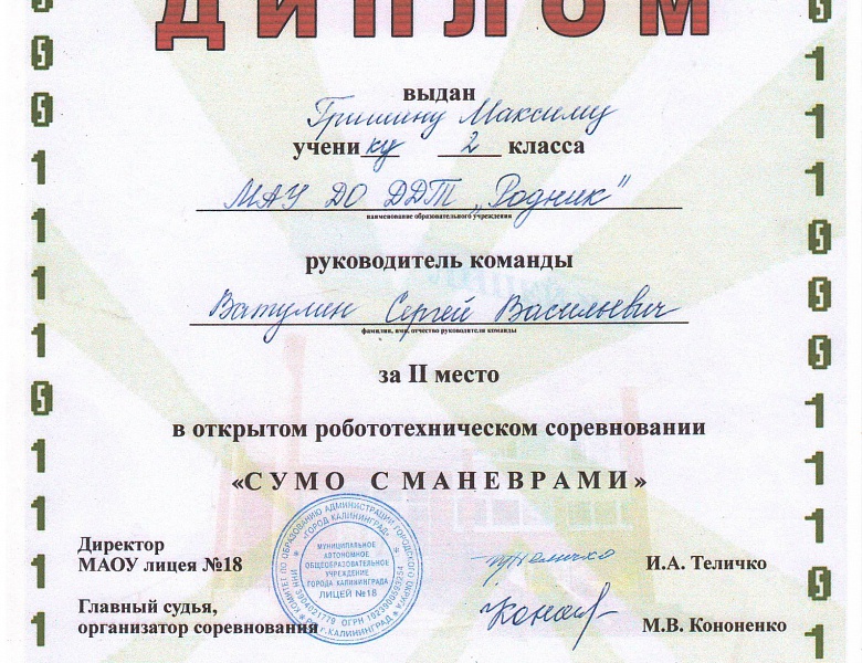 Про Юрия Гагарина или как русские мальчишки играют в сумо