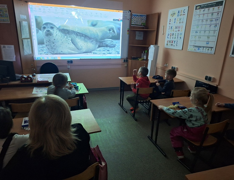 "ПРО Тюленей" узнали ребята МАУДО ДДТ "Родник" 