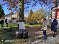 изображение_viber_2020-11-03_16-11-12.jpg
