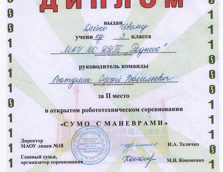 Про Юрия Гагарина или как русские мальчишки играют в сумо