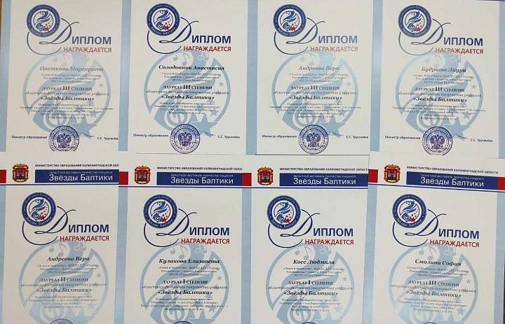 Звезды Балтики: ИЗО
