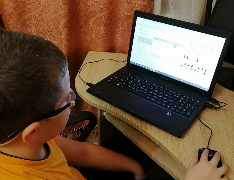 27 и 28 ноября 2021 года прошли областные он-лайн соревнования по шахматам