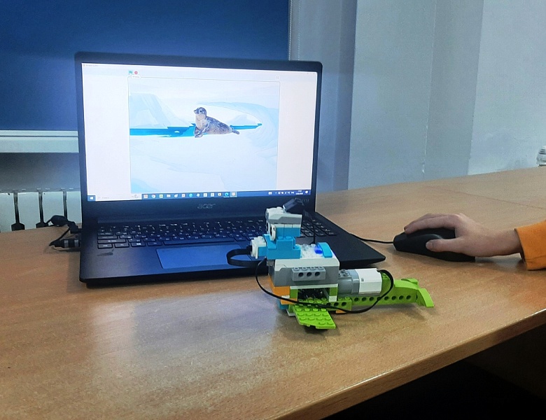 "ПРО Тюленей" узнали ребята МАУДО ДДТ "Родник" 