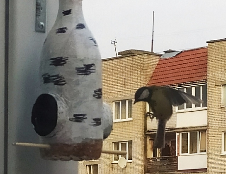 Синичкин День