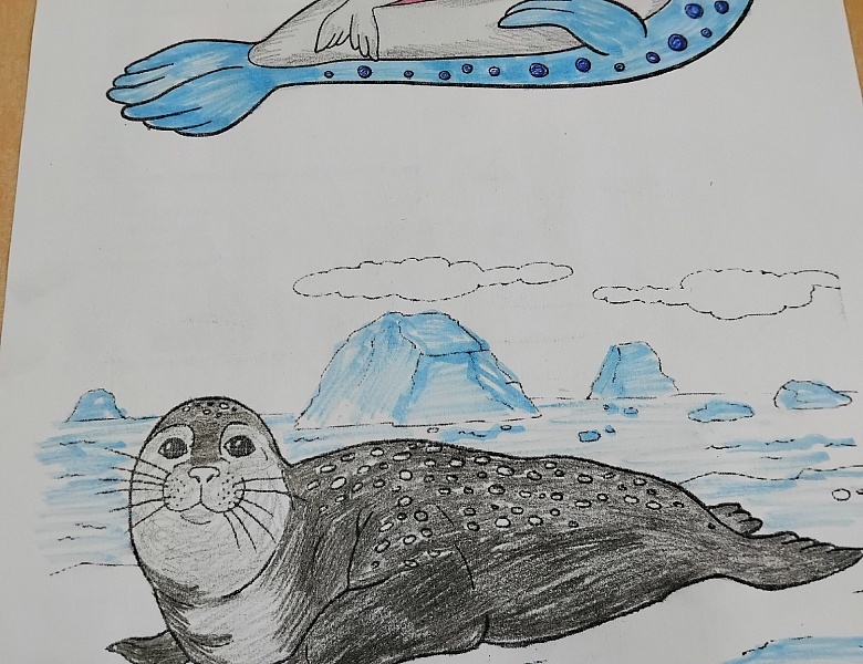 "ПРО Тюленей" узнали ребята МАУДО ДДТ "Родник" 