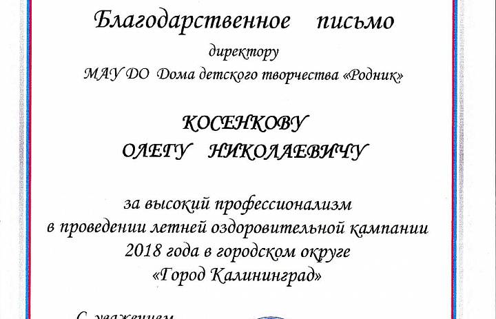 Летняя оздоровительная кампания-2018 в «Роднике»