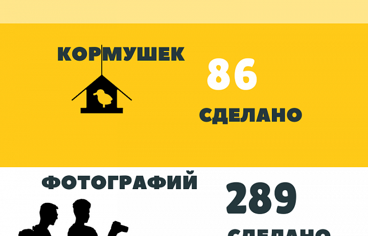 Итоги "Синичкиного дня"