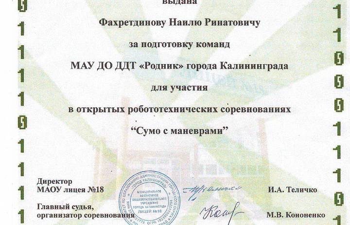 Про Юрия Гагарина или как русские мальчишки играют в сумо