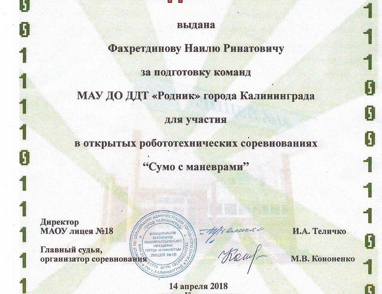 Про Юрия Гагарина или как русские мальчишки играют в сумо