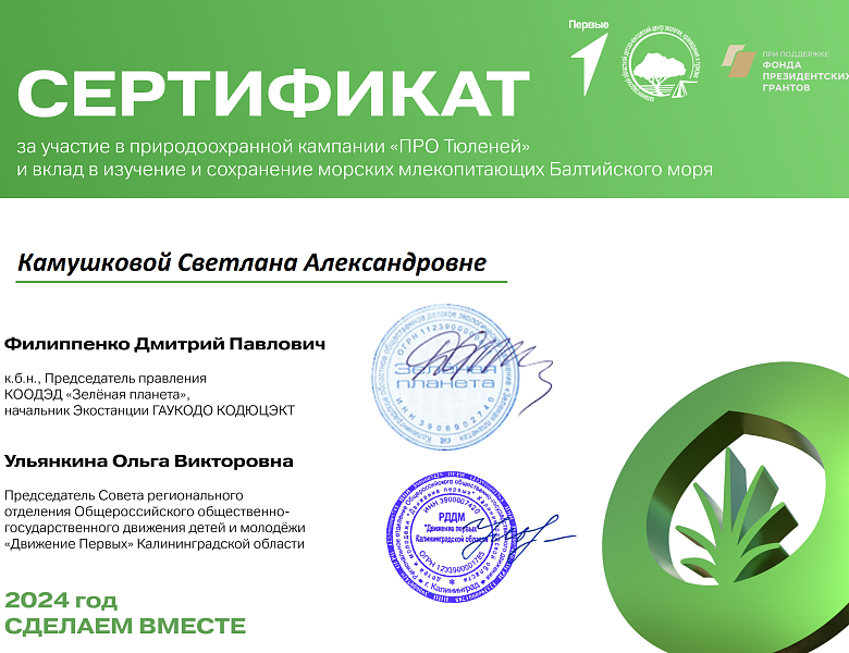 "ПРО Тюленей" узнали ребята МАУДО ДДТ "Родник" 