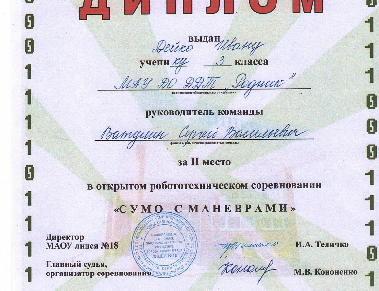 Про Юрия Гагарина или как русские мальчишки играют в сумо