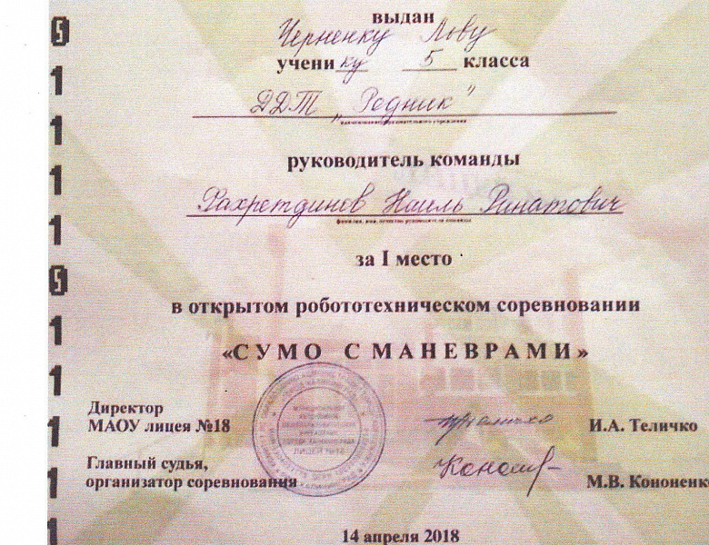 Про Юрия Гагарина или как русские мальчишки играют в сумо