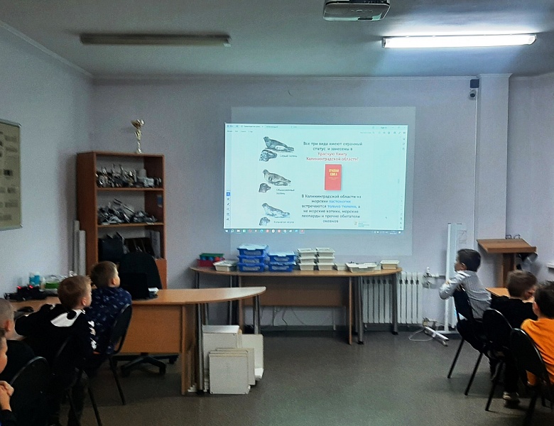 "ПРО Тюленей" узнали ребята МАУДО ДДТ "Родник" 