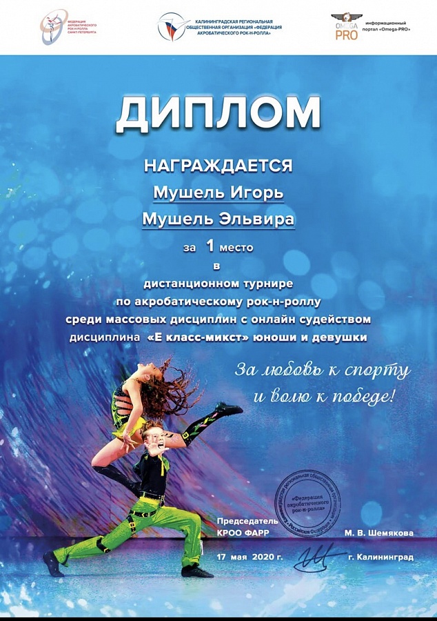 Второй открытый международный дистанционный турнир