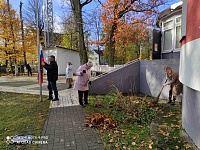 изображение_viber_2020-11-03_16-2jpg.jpg
