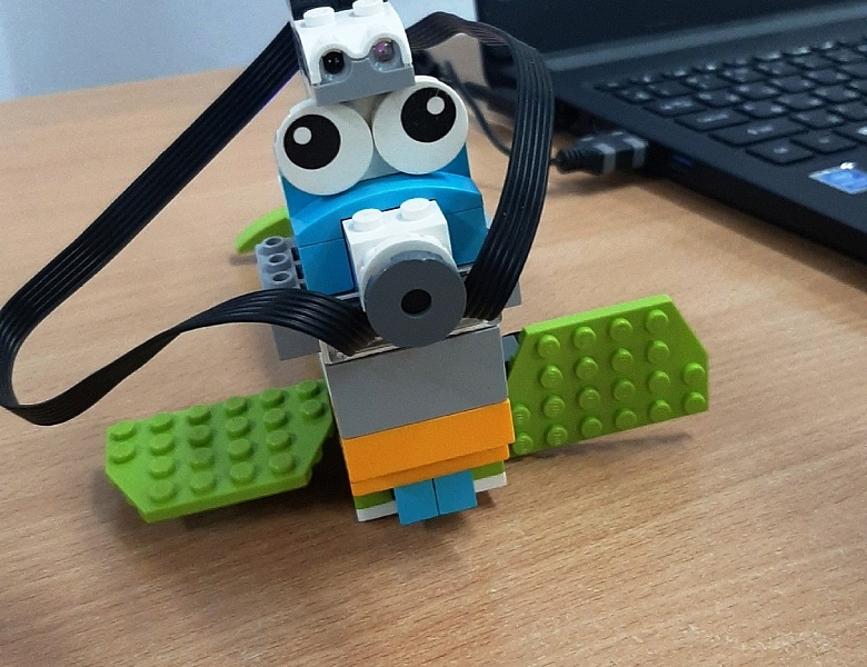 "ПРО Тюленей" узнали ребята МАУДО ДДТ "Родник" 