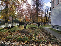 изображение_viber_2020-11-03_16-10-39222.jpg