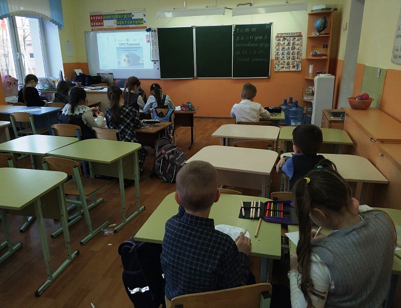 "ПРО Тюленей" узнали ребята МАУДО ДДТ "Родник" 