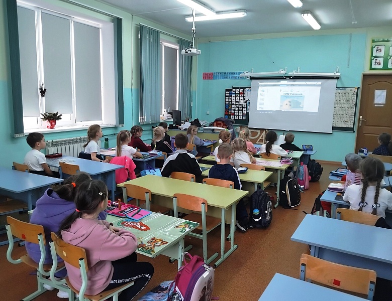 "ПРО Тюленей" узнали ребята МАУДО ДДТ "Родник" 