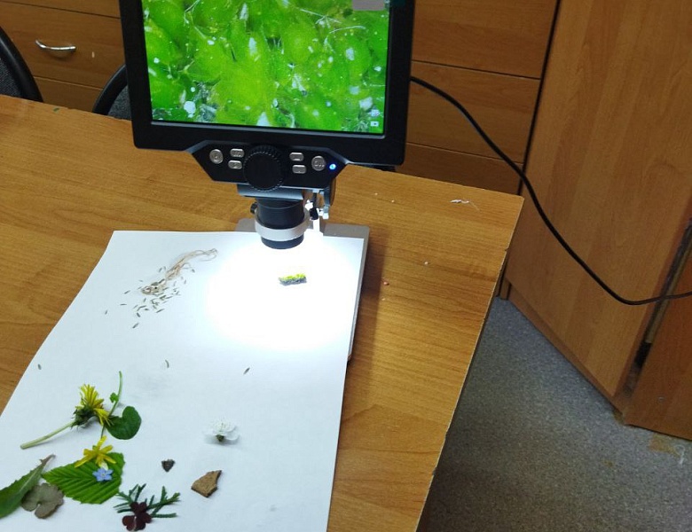 Вссероссийский субботник дал старт акции